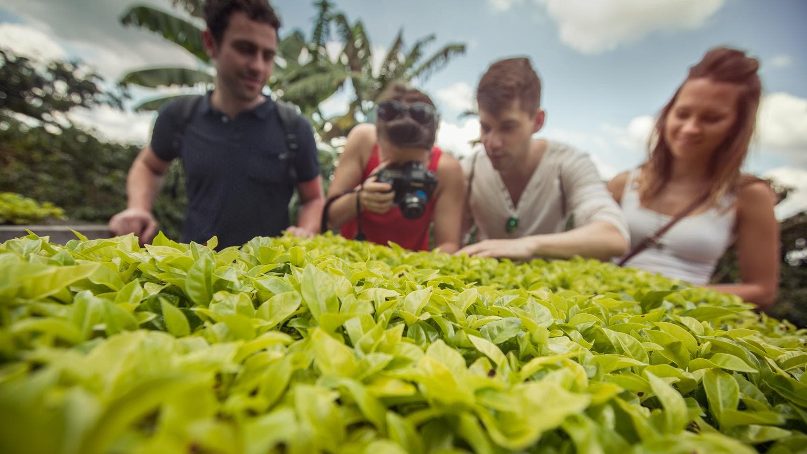 Colombia Express, a tour by G Adventures