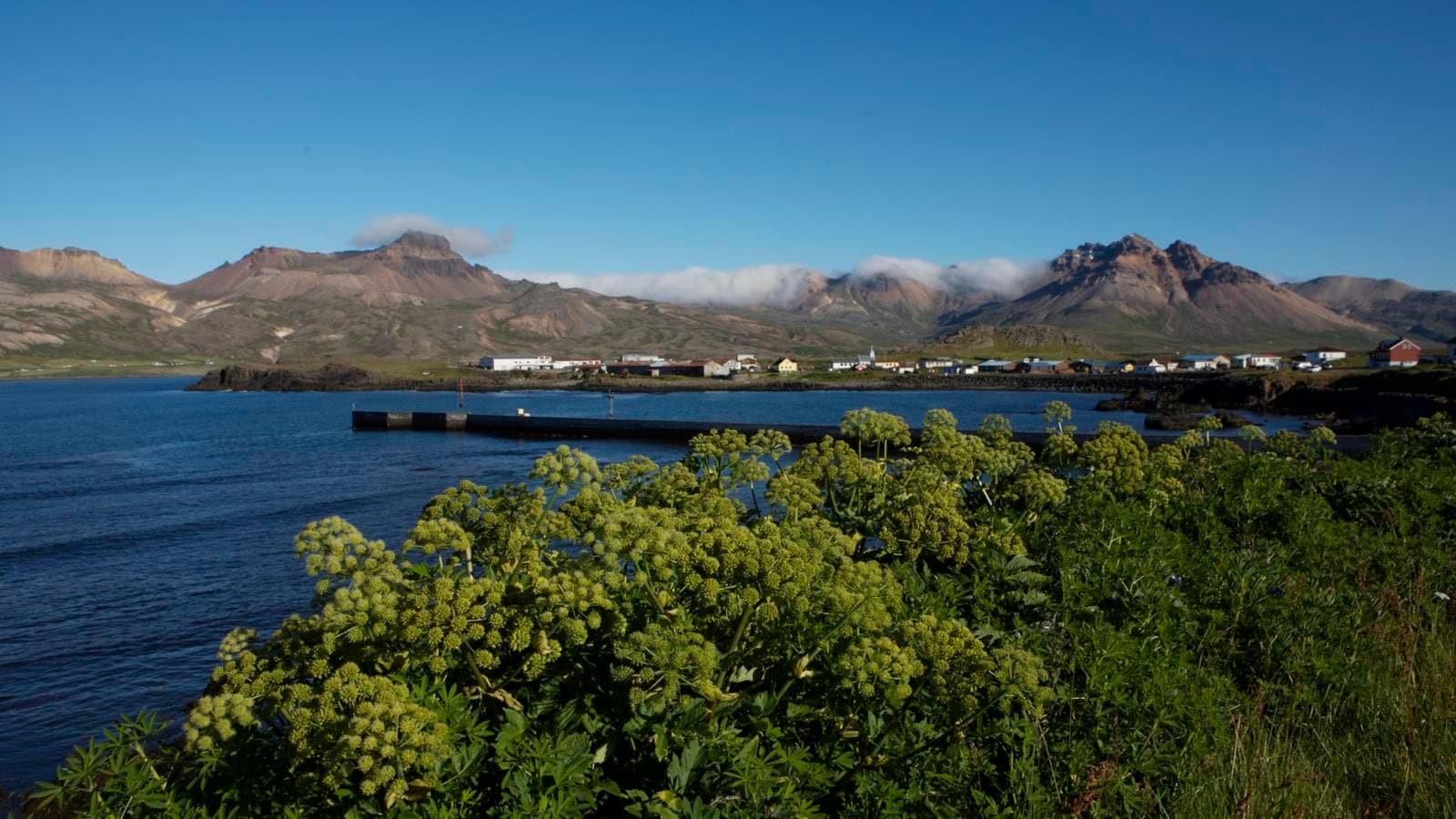 Local Living Iceland— Bakkagerði, a tour by G Adventures