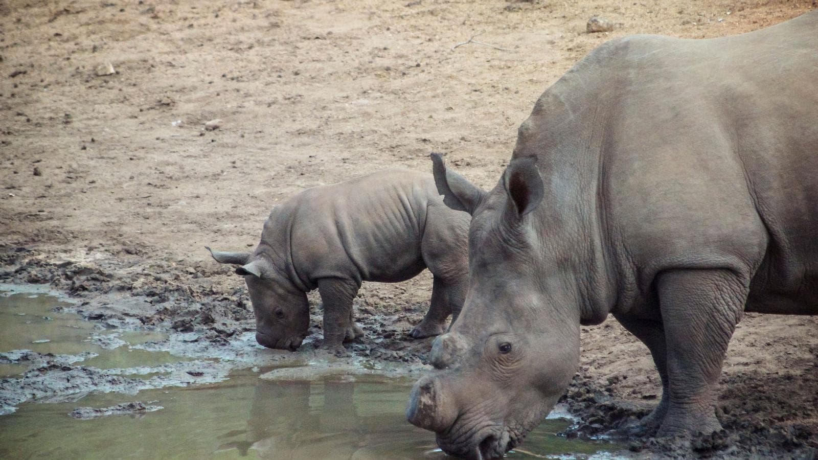 Southern Africa Overland Safari & Participation Camping (Botswana), a tour by G Adventures