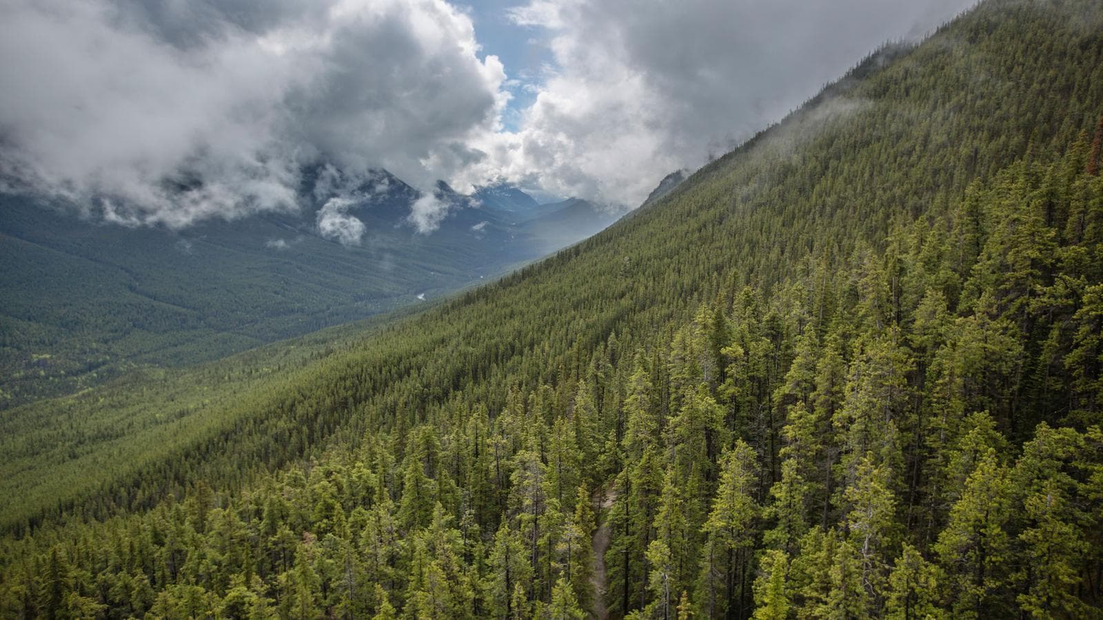 Active West Coast & Canadian Rockies (Canada), a tour by G Adventures