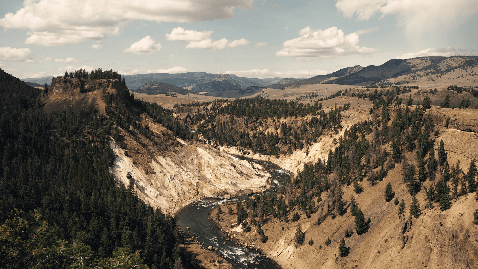 Yellowstone Camping Explorer (United States), a tour by G Adventures