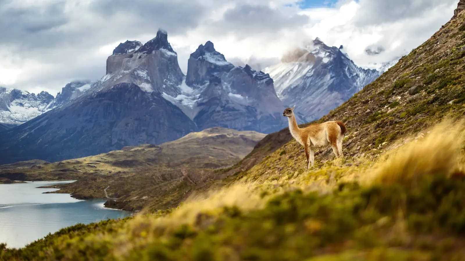 Signature: Argentina, Chile & the Heart of Patagonia, a tour by G Adventures
