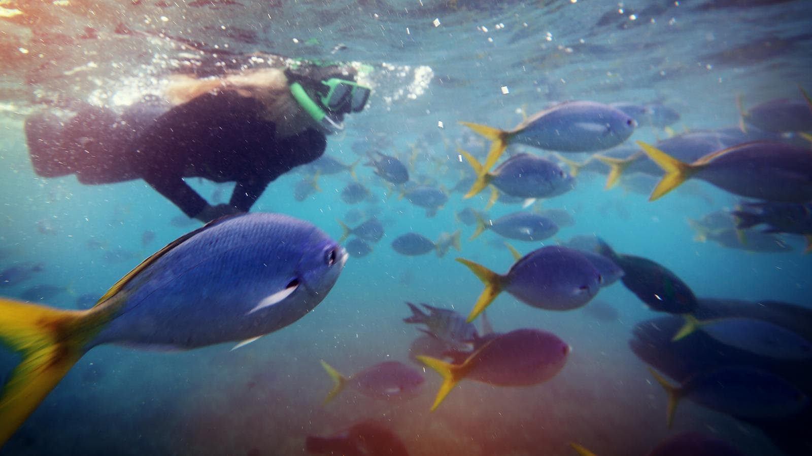 Best of Australia, a tour by G Adventures