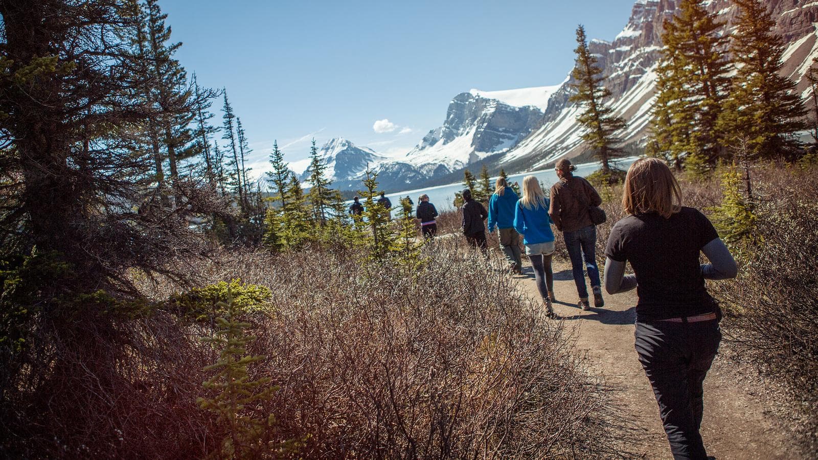 Journeys: Discover the Canadian Rockies - Westbound (Canada), a tour by G Adventures