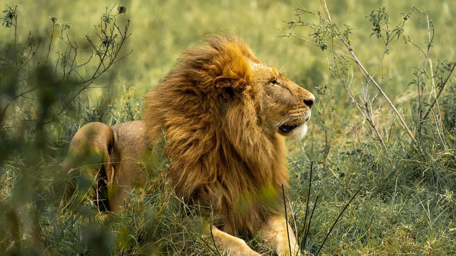 Signature: Zimbabwe & Botswana, Wild by Nature, a tour by G Adventures