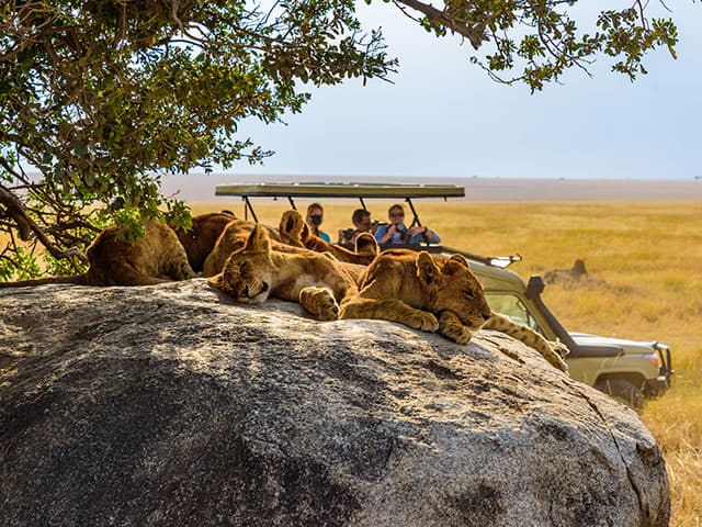 South Africa & the Indian Ocean (Singapore), a cruise by Fred. Olsen Cruise Lines