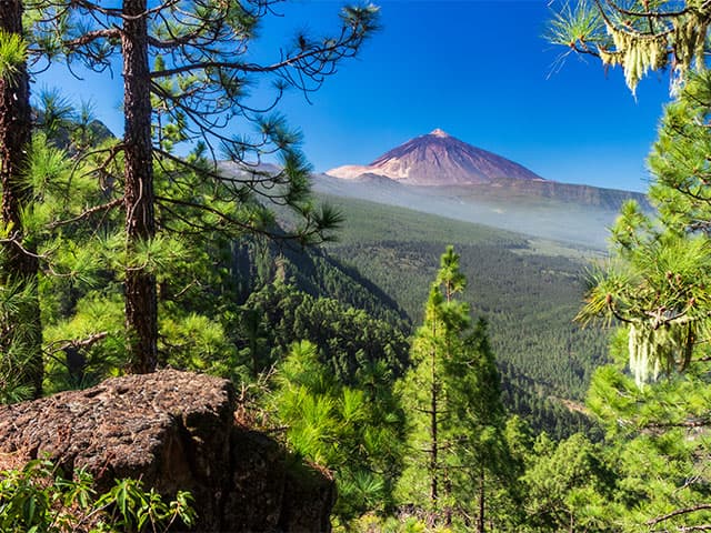 Canary Islands, Madeira & the Solar Eclipse (Spain), a cruise by Fred. Olsen Cruise Lines