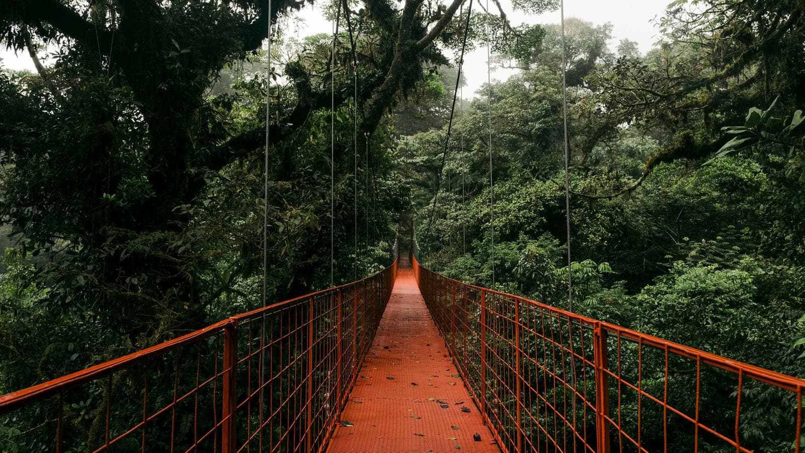 Signature: Costa Rica's Tortuguero, Arenal & Cloud Forests, a tour by G Adventures