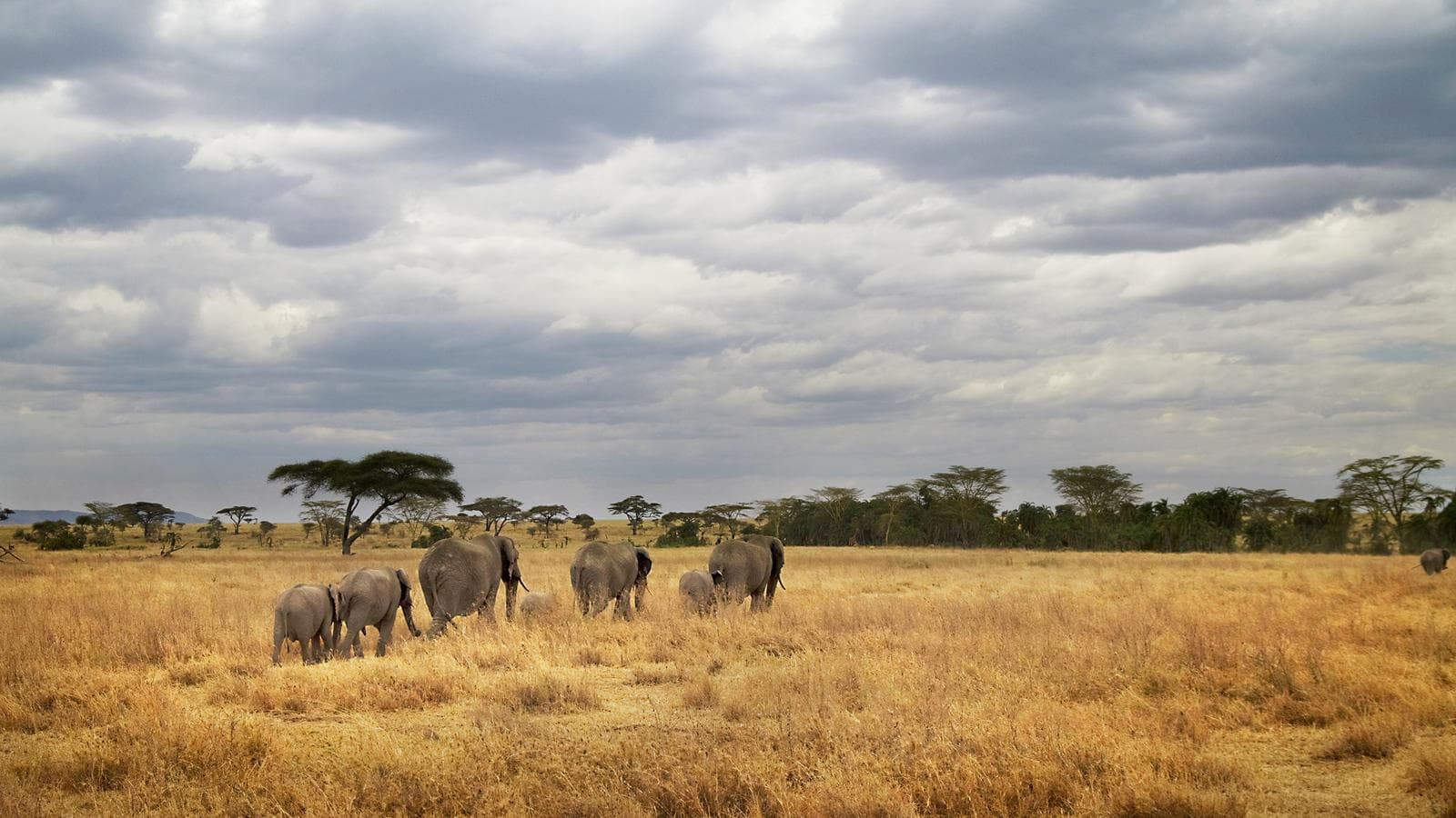 Tanzania Camping Adventure, a tour by G Adventures