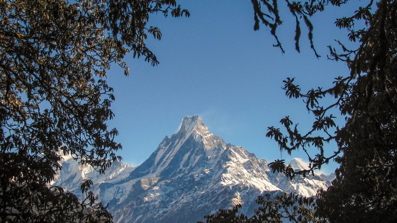 Highlights of Nepal, a tour by G Adventures