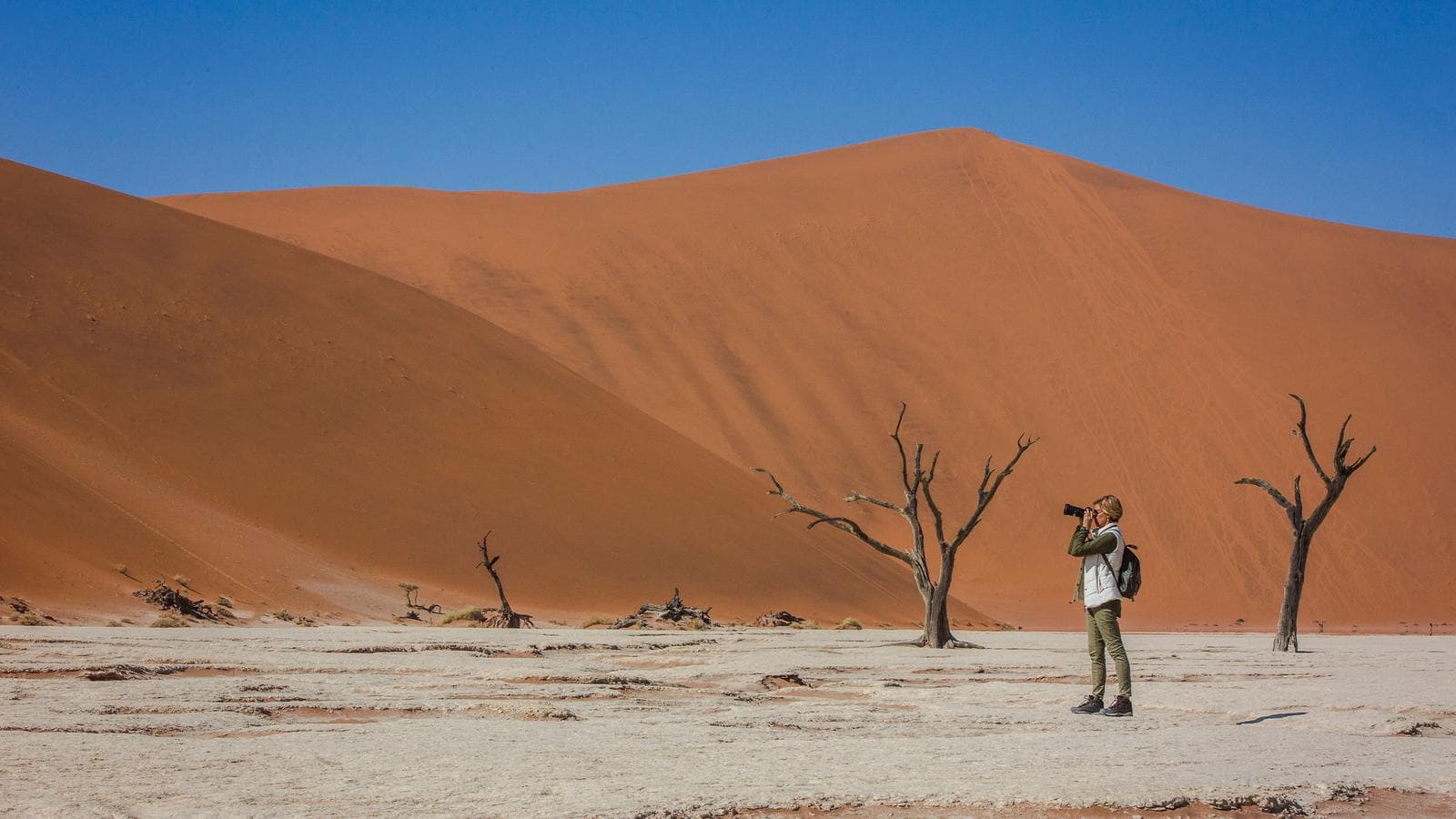 Cape Town to Namibia Overland Safari & Participation Camping, a tour by G Adventures