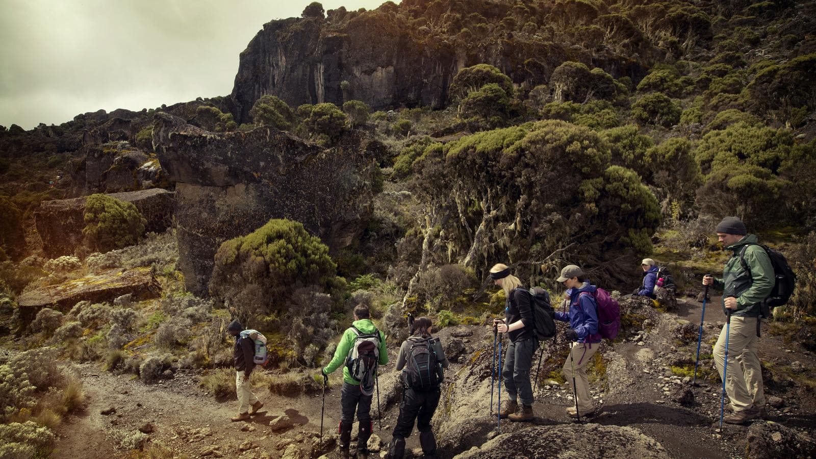 Mt Kilimanjaro Trek - Machame Route (8 Days) (Tanzania), a tour by G Adventures