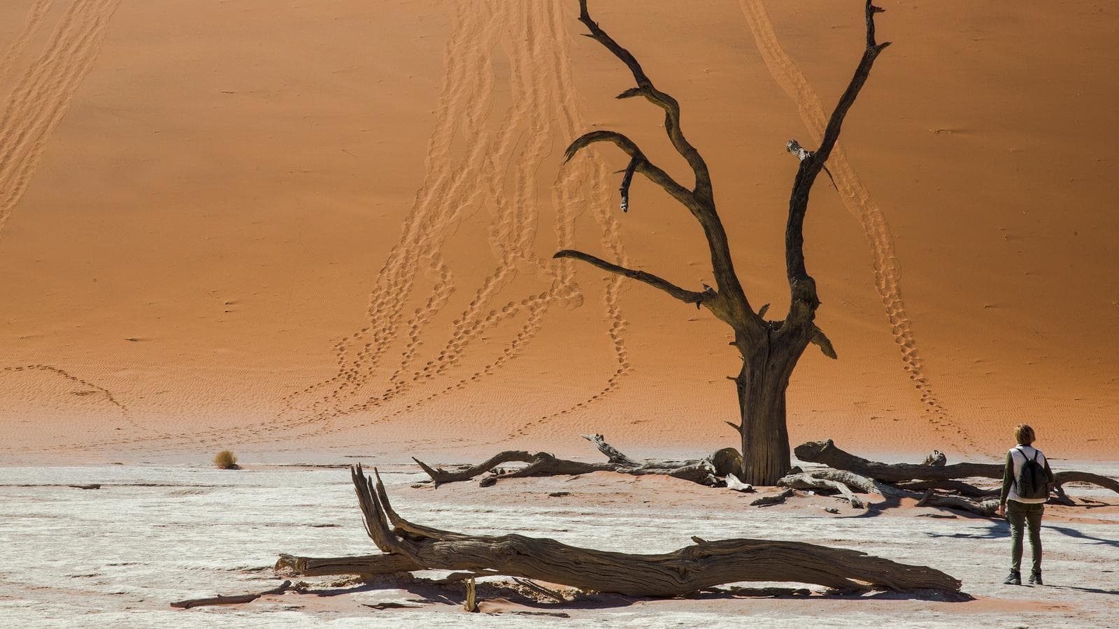 Dunes, Deltas & Falls Discoverer (Botswana), a tour by G Adventures