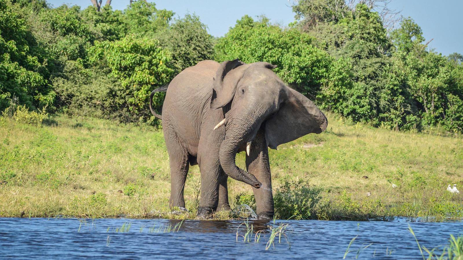 Botswana & Victoria Falls Adventure, a tour by G Adventures