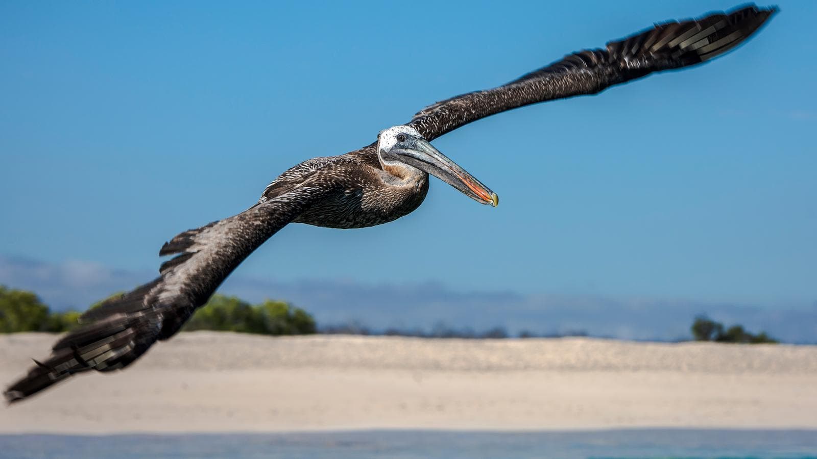 Galápagos — North, Central, & South Islands aboard the Eden (Ecuador), a tour by G Adventures