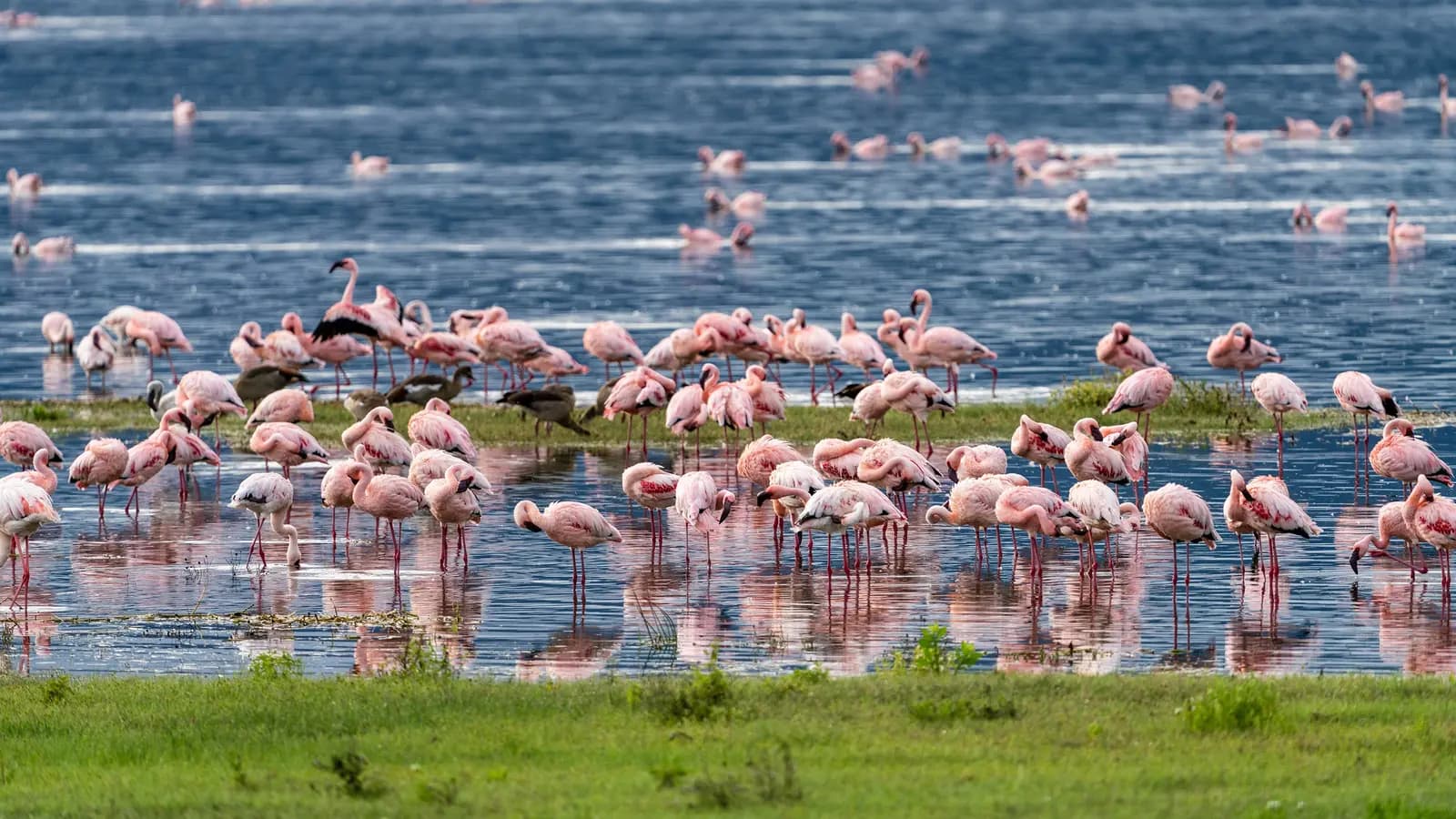 Signature: Tanzania & Kenya — Serengeti to the Maasai Mara, a tour by G Adventures