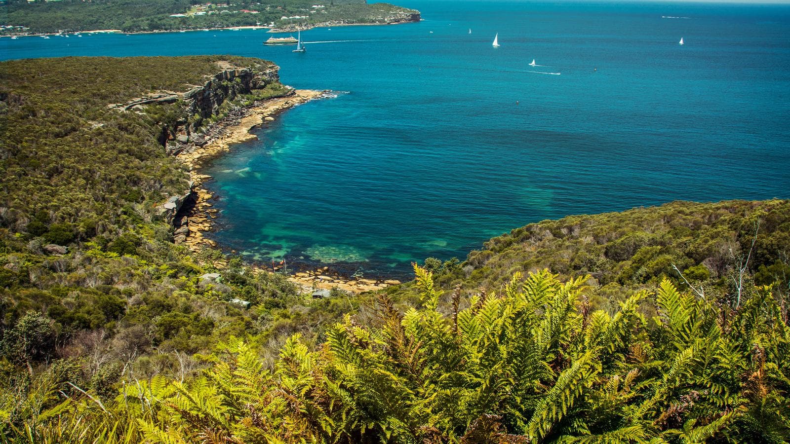 Sydney Roundtrip: Australia's Greatest Hits, a tour by G Adventures