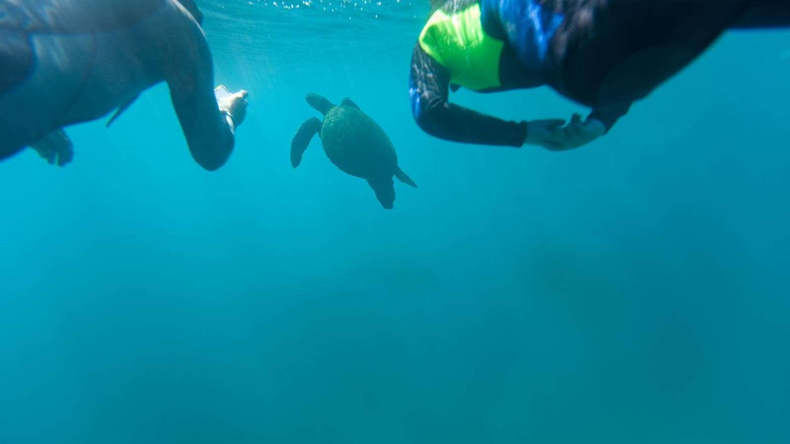 Galápagos Multisport (Ecuador), a tour by G Adventures