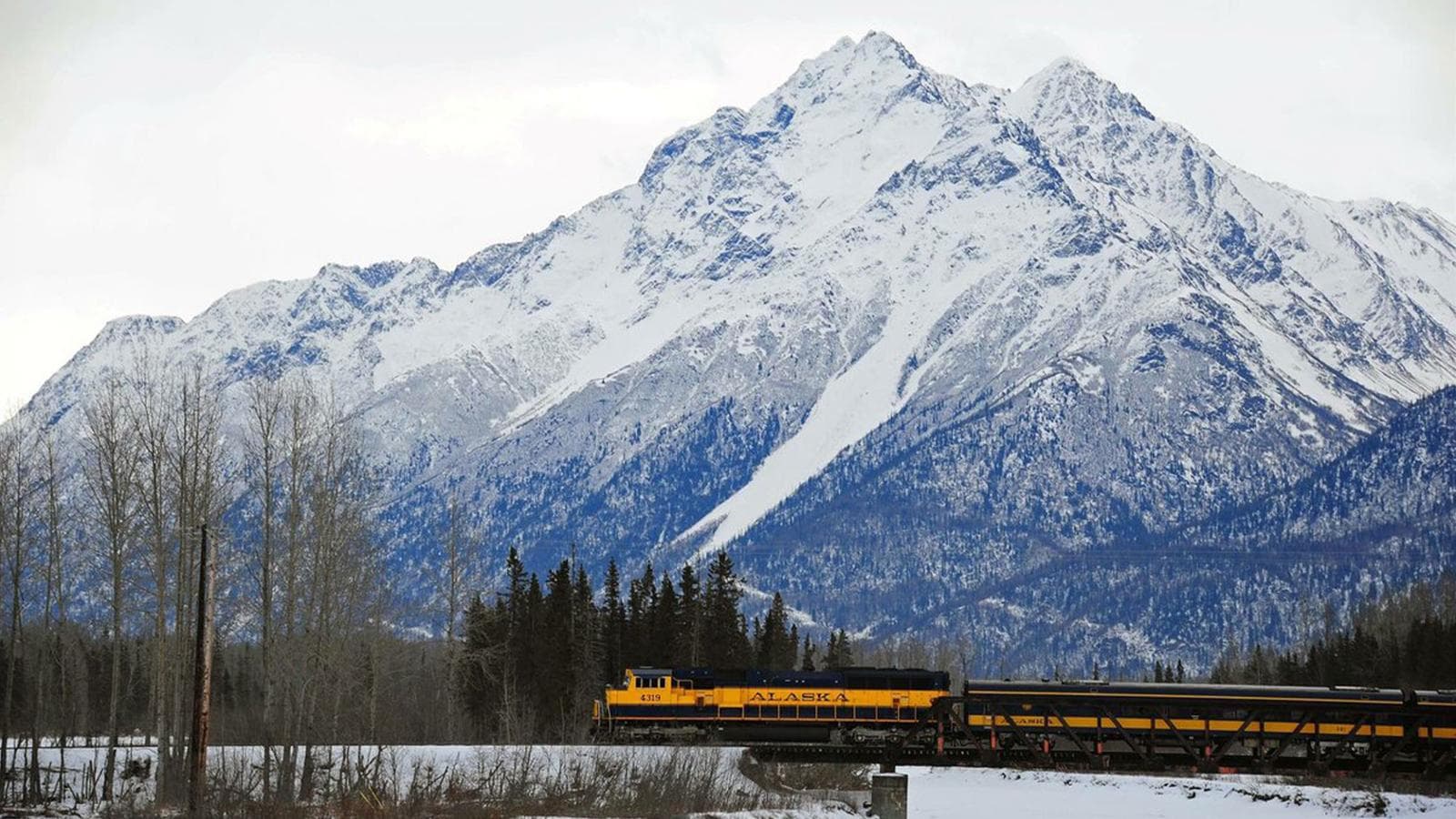 Alaska in Winter: Northern Lights & Dog Sledding Adventure (United States), a tour by G Adventures