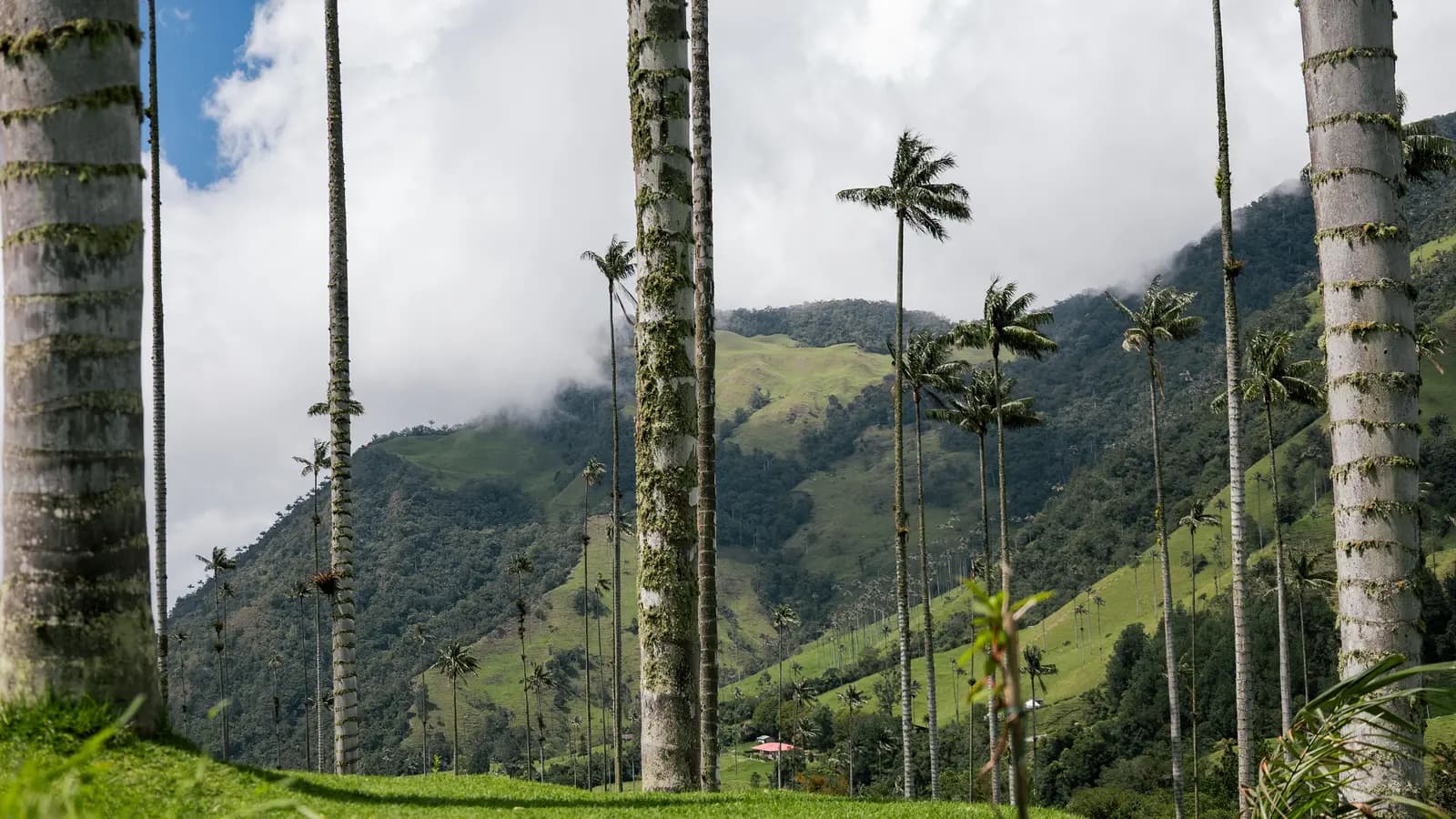 Journeys: Explore Colombia, a tour by G Adventures