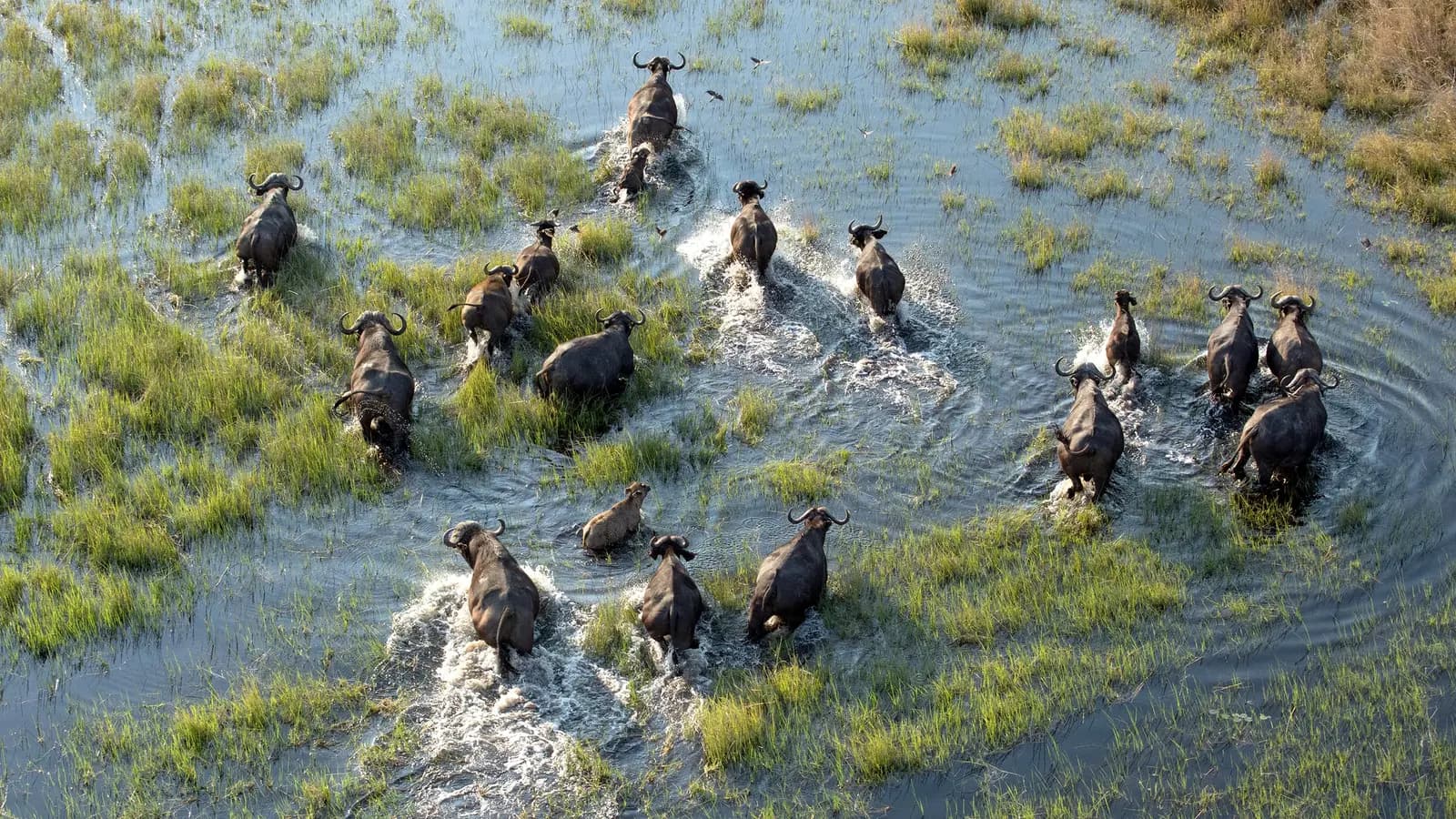 Signature: Kruger, Victoria Falls & Botswana’s Untamed Wonders, a tour by G Adventures