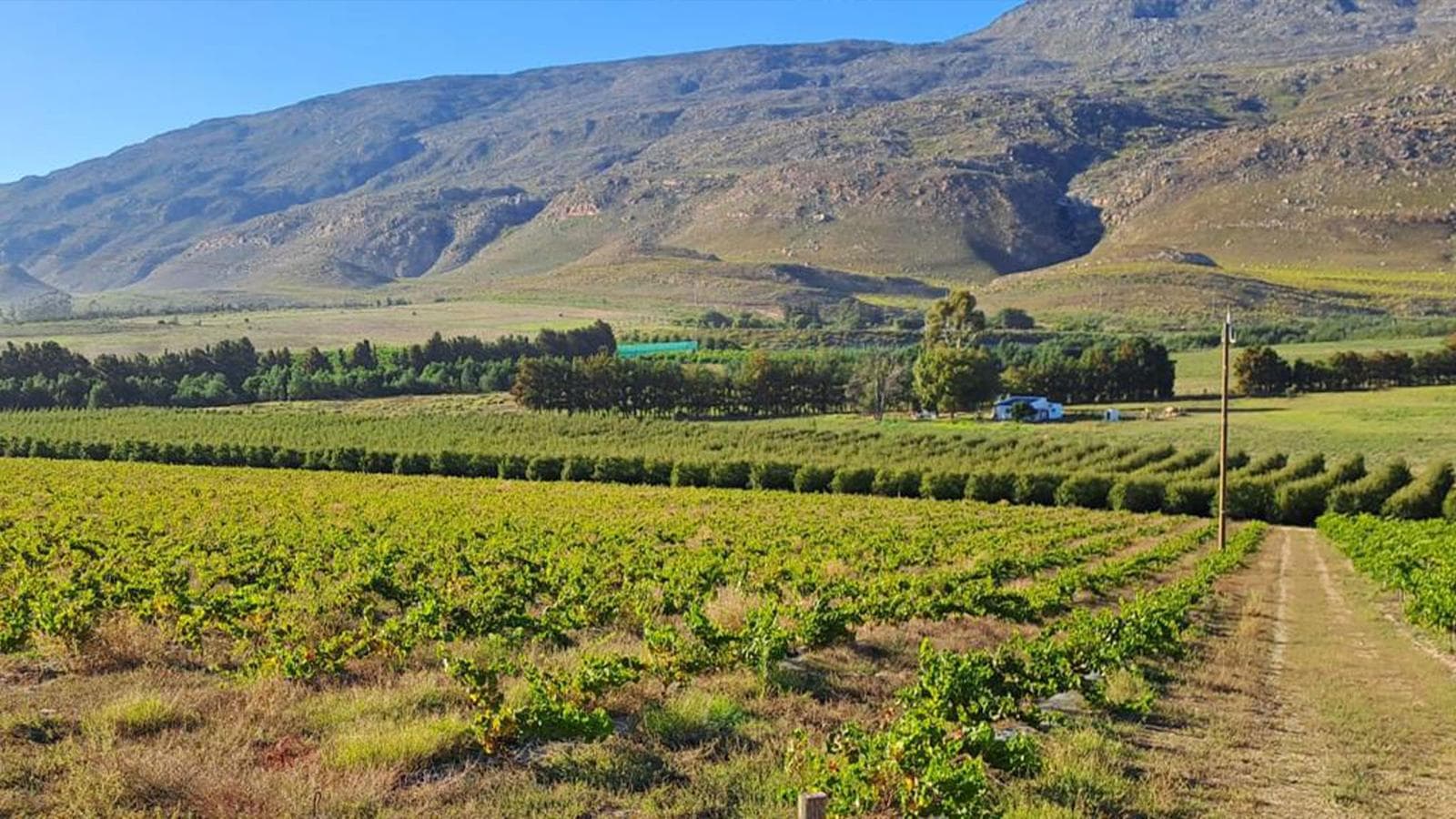 South Africa: The Garden Route, a tour by G Adventures