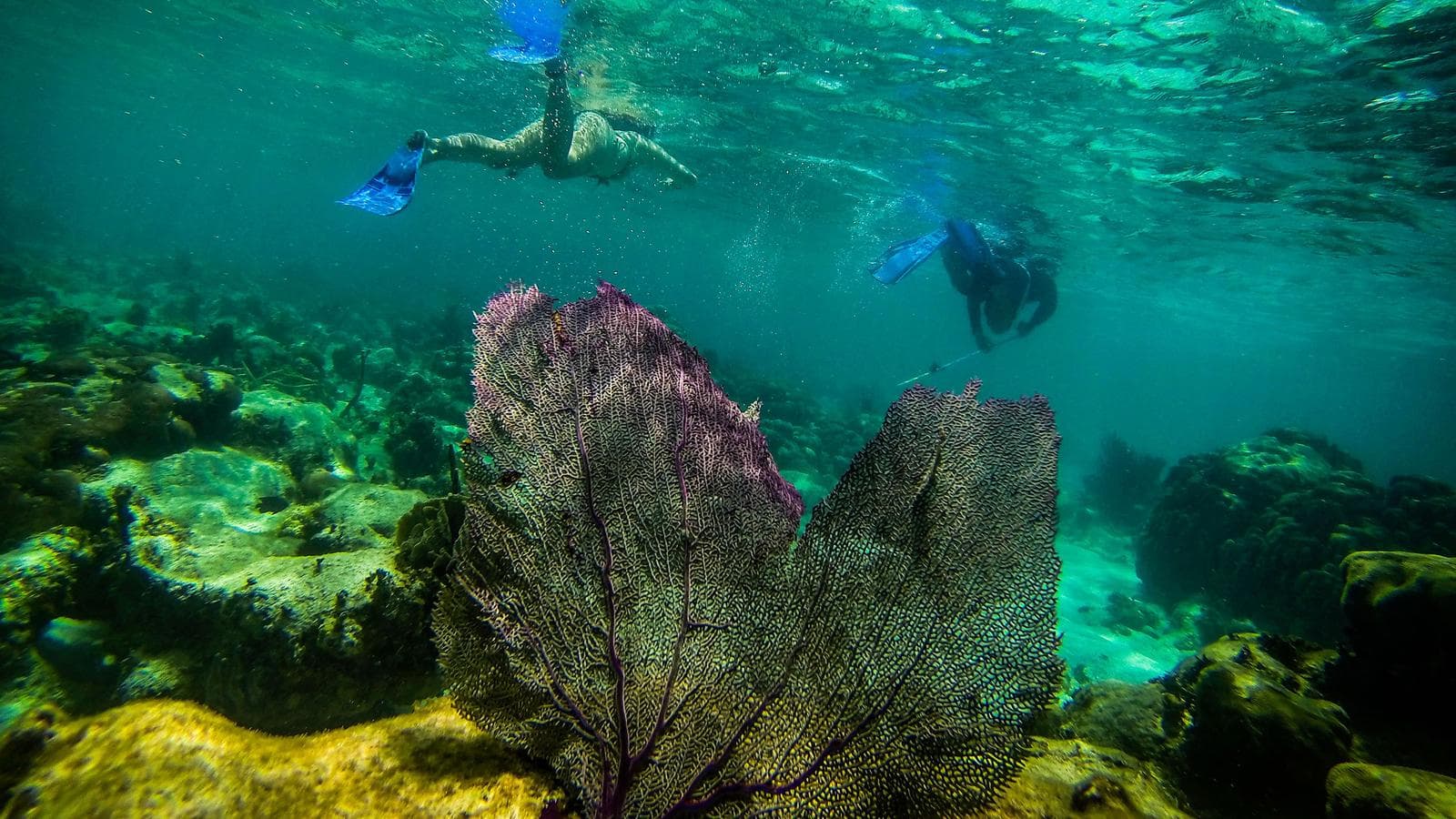 Journeys: Explore Belize, a tour by G Adventures