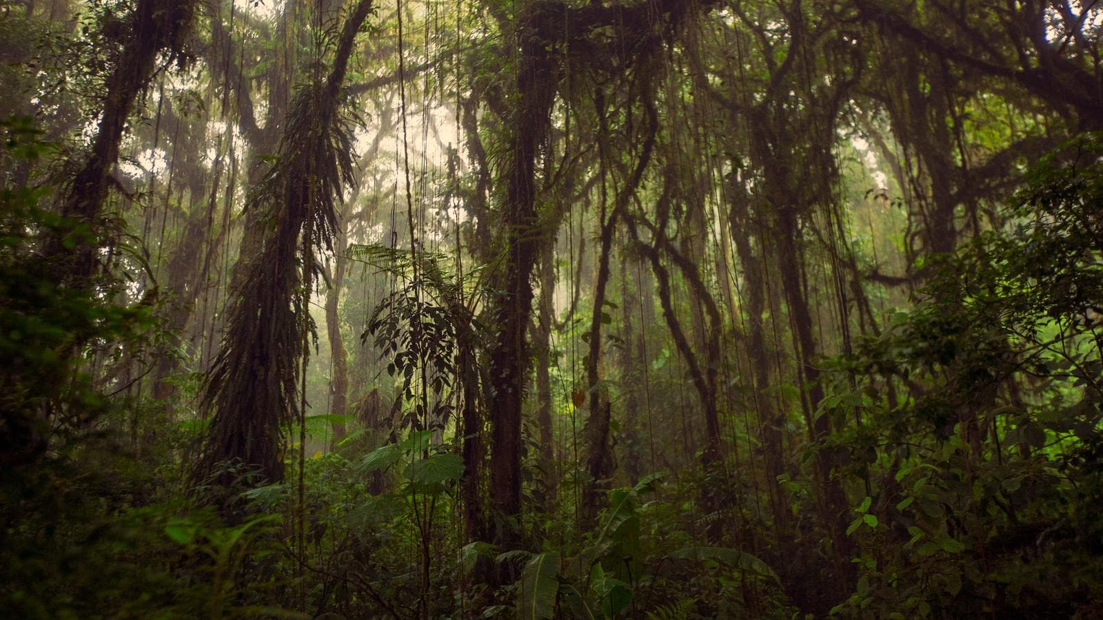 Journeys: Highlights of Costa Rica, a tour by G Adventures