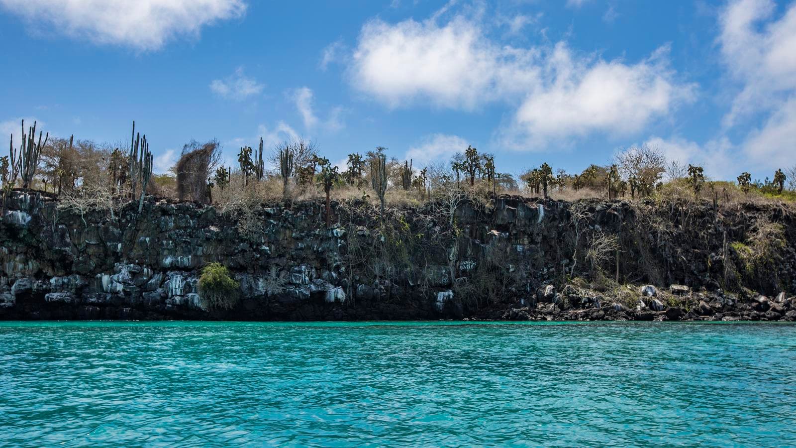 Galápagos — South & East Islands aboard the Yolita (Ecuador), a tour by G Adventures