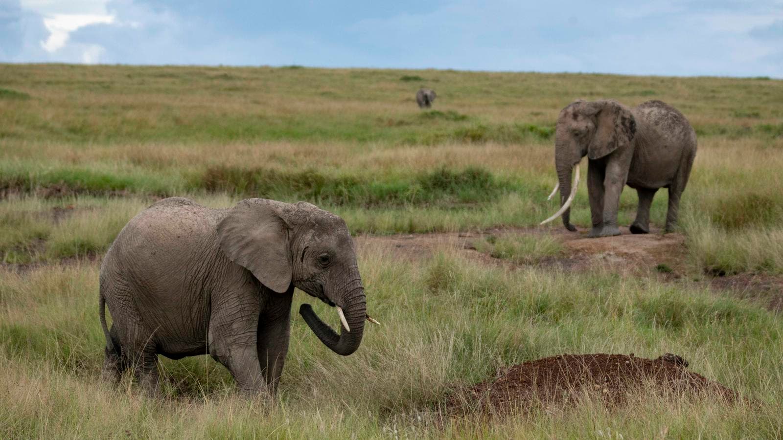 Masai & Tanzania Camping Safari, a tour by G Adventures