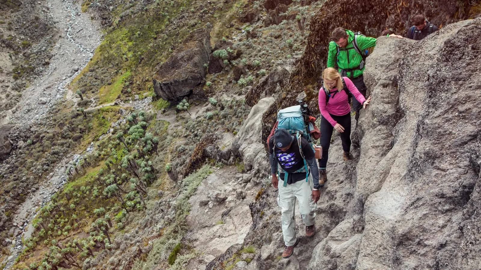 Tanzania: Kilimanjaro's Lemosho Route & Serengeti Safari, a tour by G Adventures