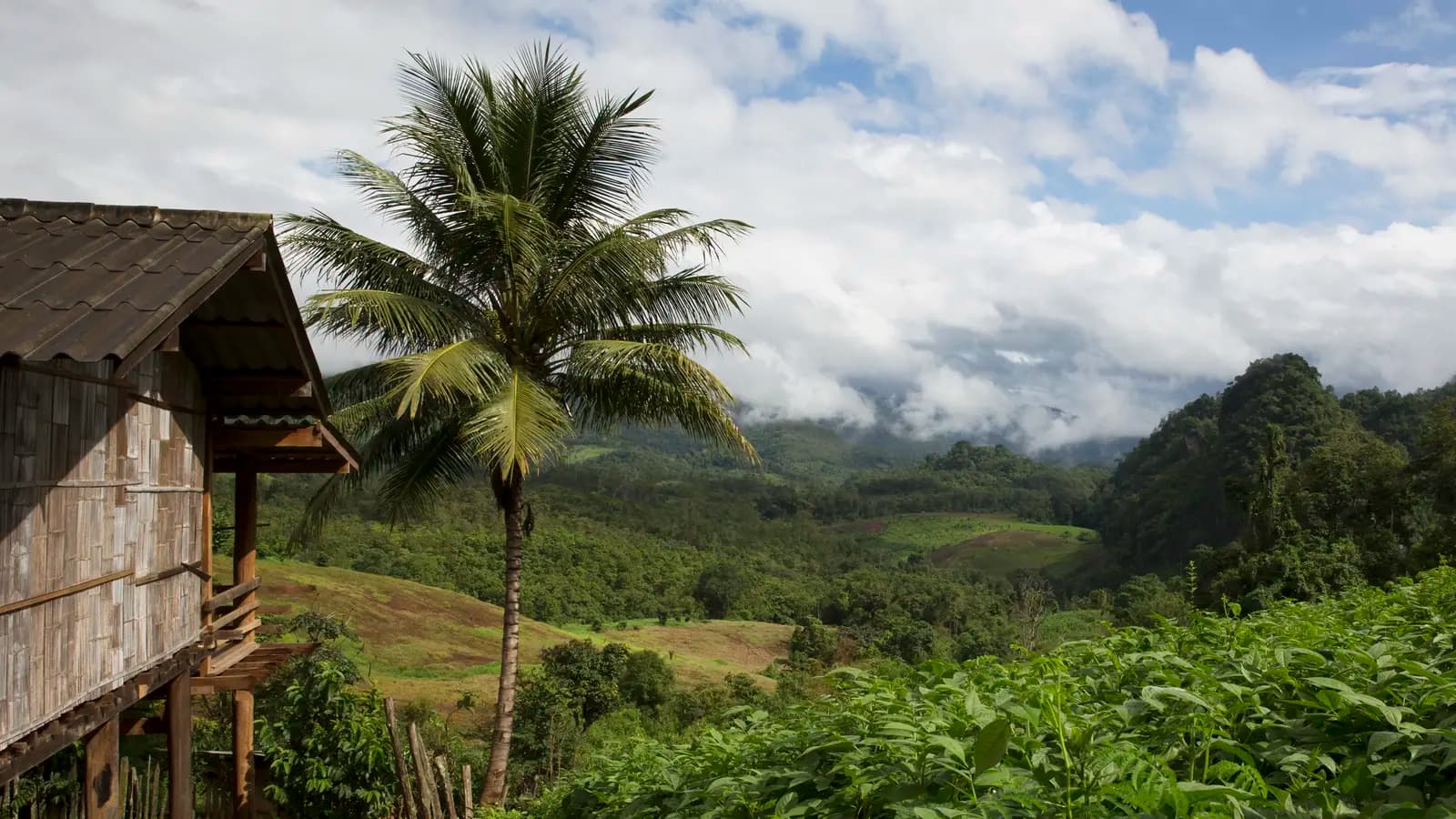 Journeys: Best of Northern Thailand, a tour by G Adventures