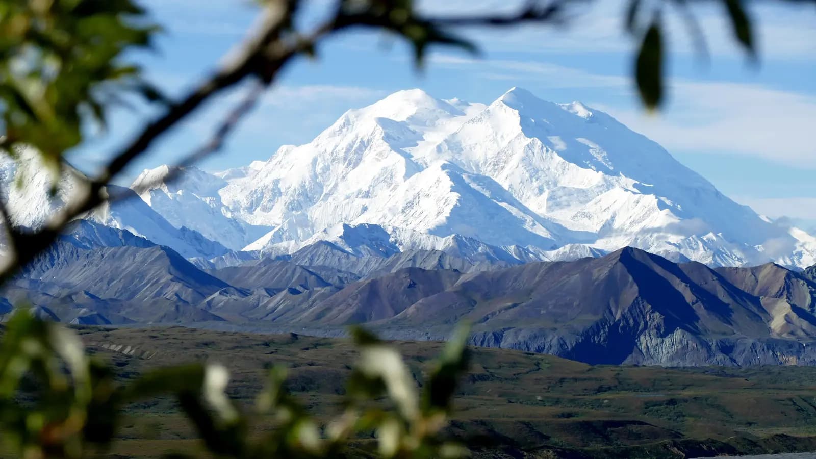 Signature: Alaska's Fairbanks, Denali & the Kenai Peninsula (United States), a tour by G Adventures