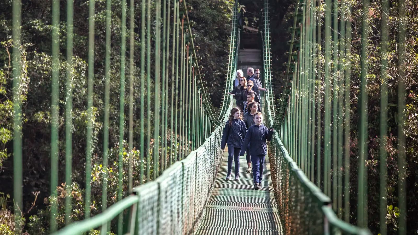 Costa Rica Family Journey: From Cloud Forests to the Beach, a tour by G Adventures