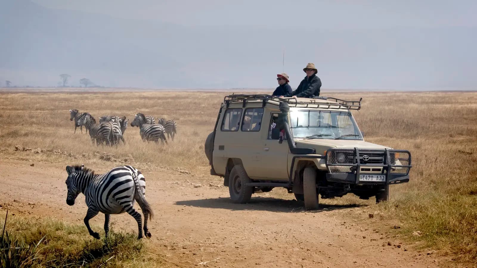 Tanzania Uncovered: Wildlife of the Serengeti & Ngorongoro Crater, a tour by G Adventures