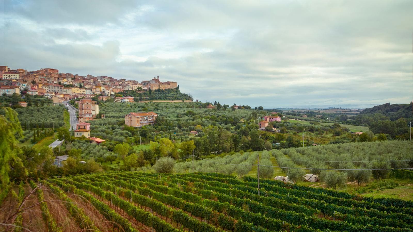 Tuscany to Cinque Terre: Wines, Villages & Unforgettable Walks (Italy), a tour by G Adventures