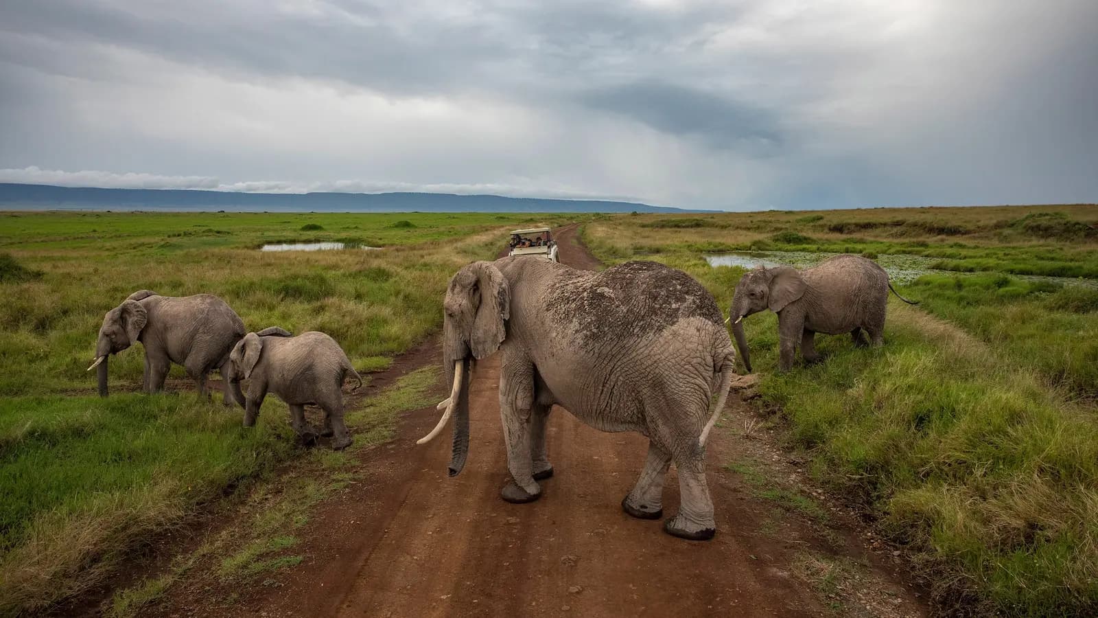 Kenya: Cultural Connections, Maasai Mara & East Africa Safari, a tour by G Adventures