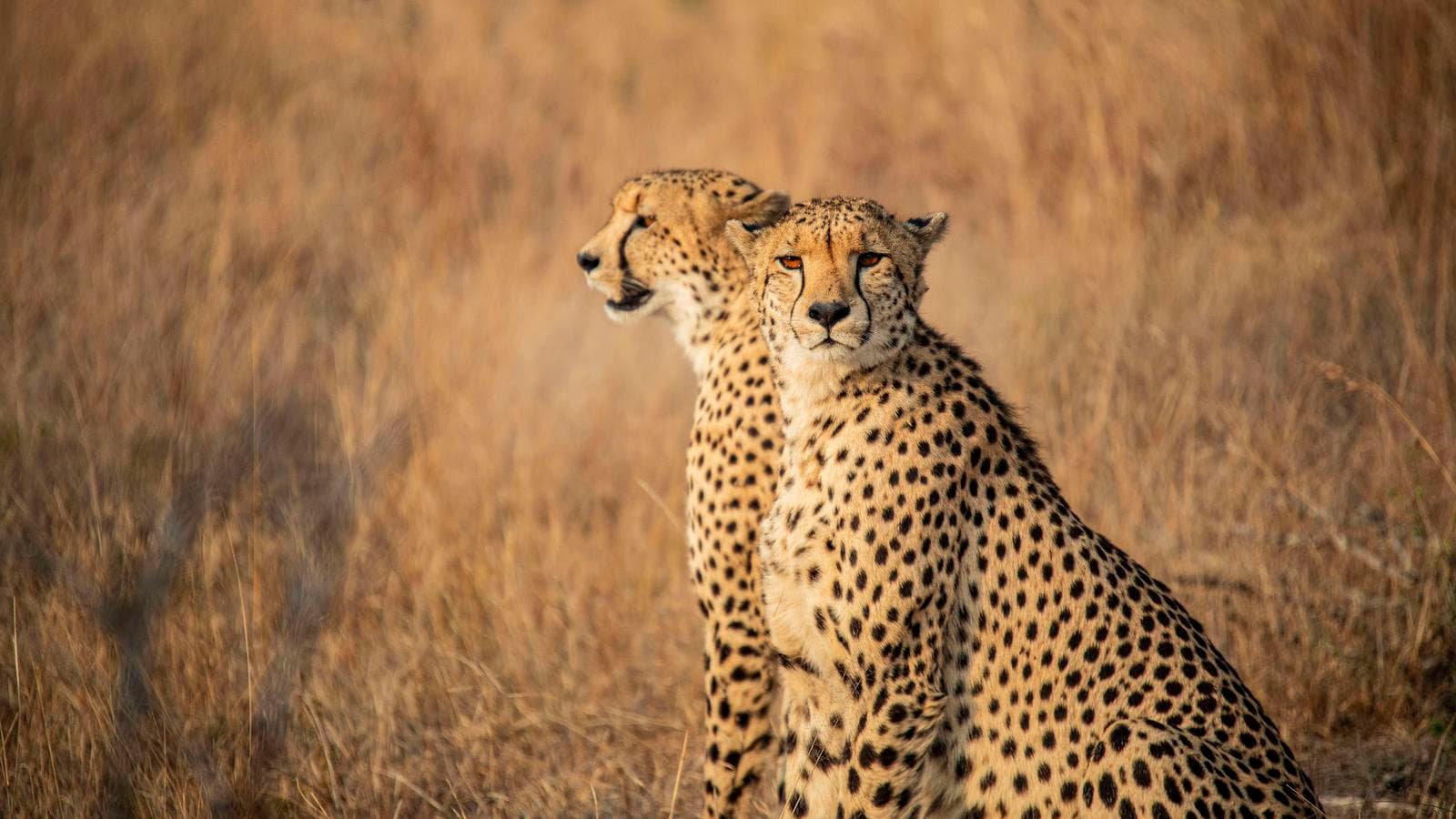 South Africa: Kruger, Cape Town & Stellenbosch Vineyards, a tour by G Adventures