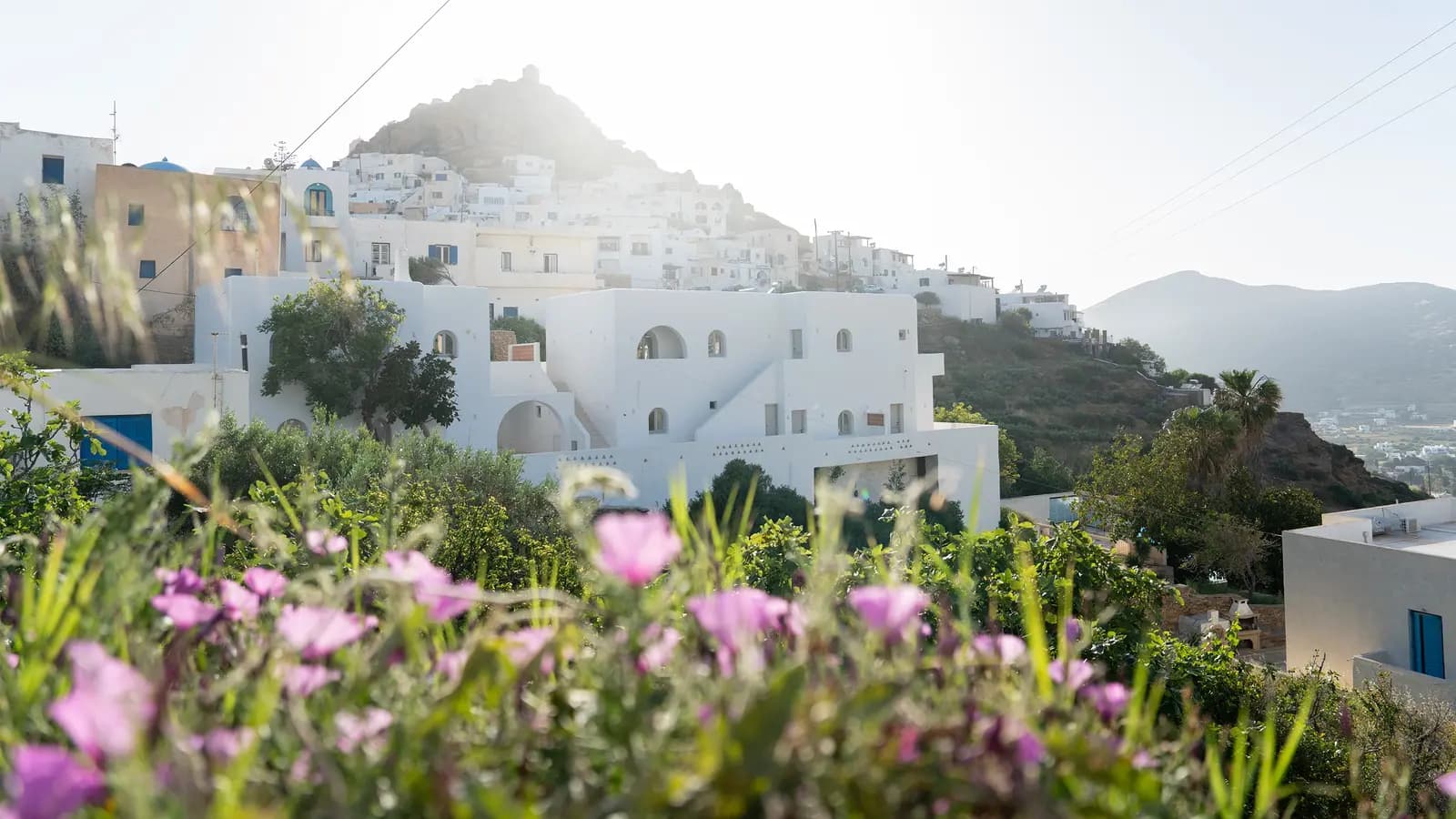 Sailing Greece - Santorini to Santorini, a tour by G Adventures