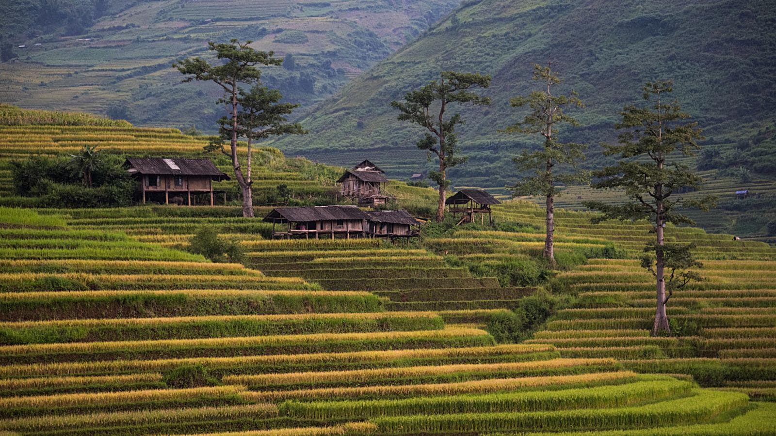 Classic Vietnam: Sapa to Ho Chi Minh, a tour by G Adventures