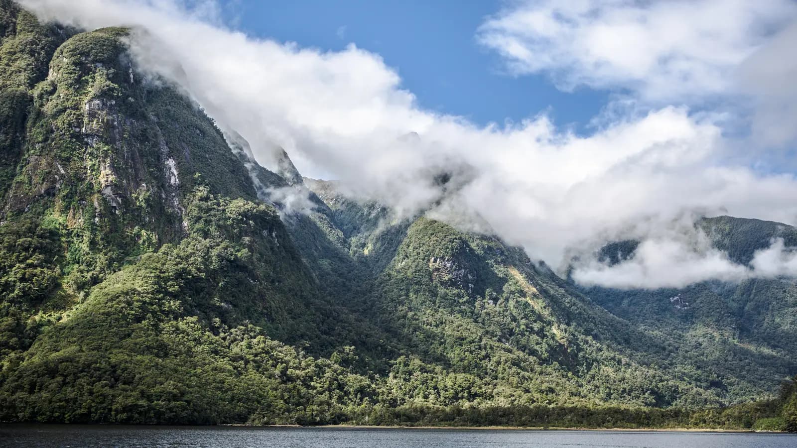 Solo-ish New Zealand, a tour by G Adventures