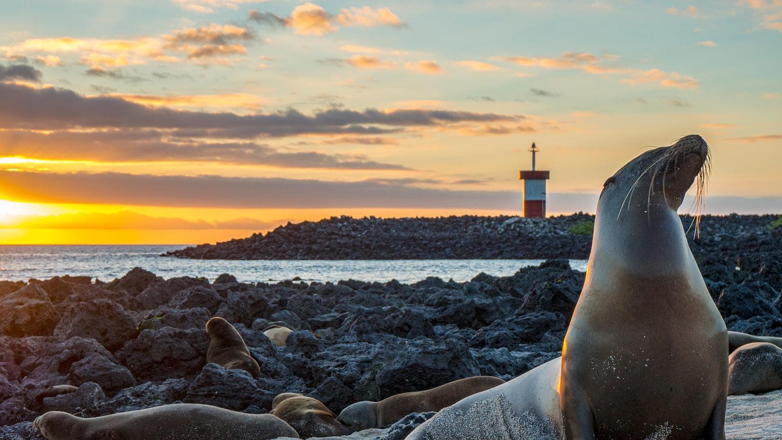 Galápagos – Central and East Islands aboard the Reina Silvia Voyager (Cruise Only) (Ecuador), a tour by G Adventures
