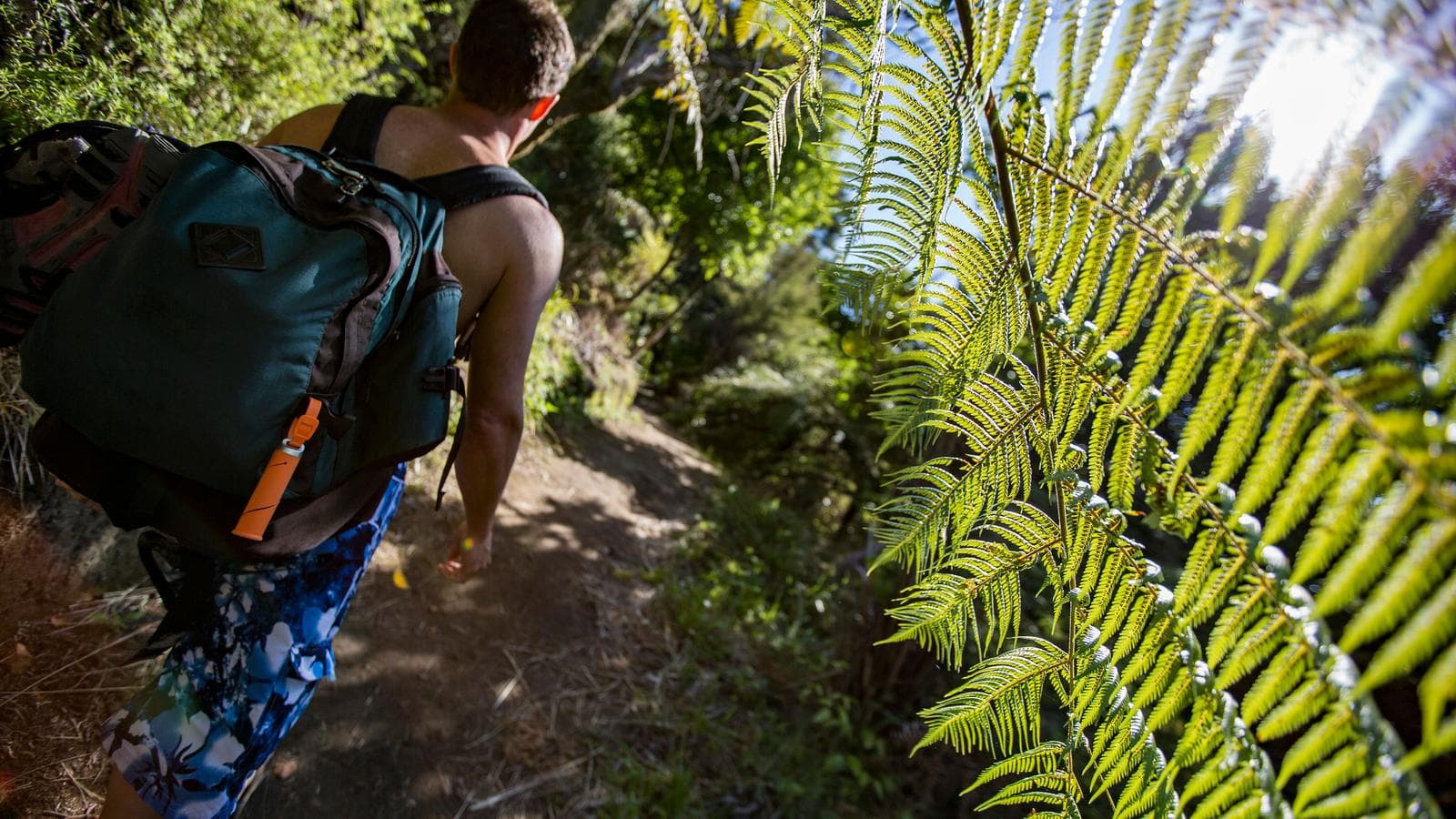 Australia And New Zealand: Bushwalks & Beaches, a tour by G Adventures