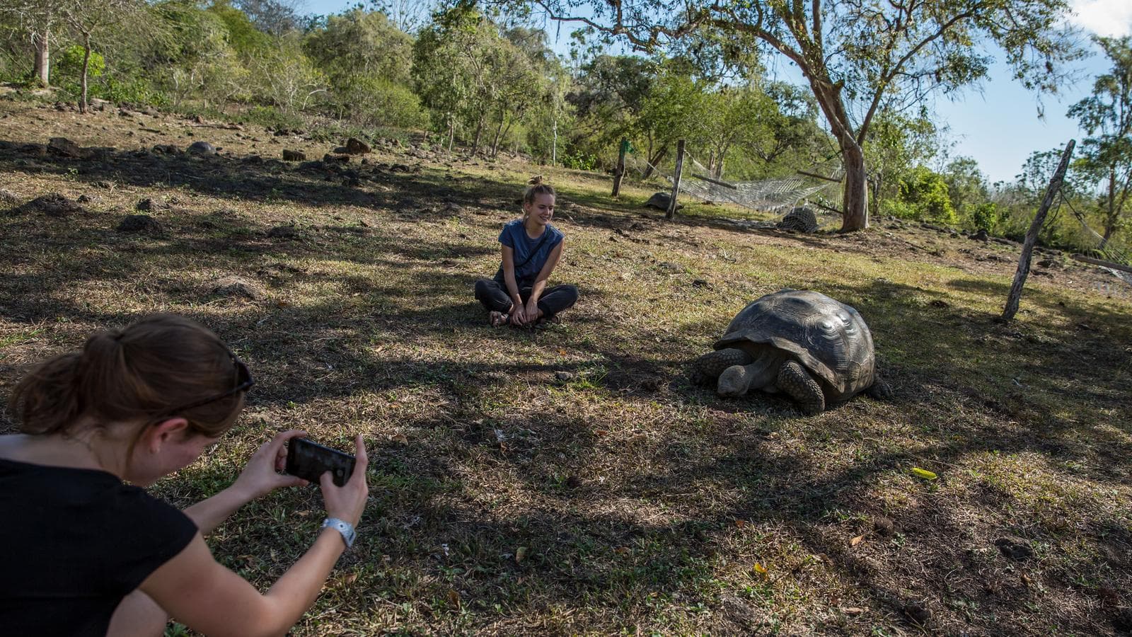 Family Land Galápagos — Multi-Activities (Ecuador), a tour by G Adventures
