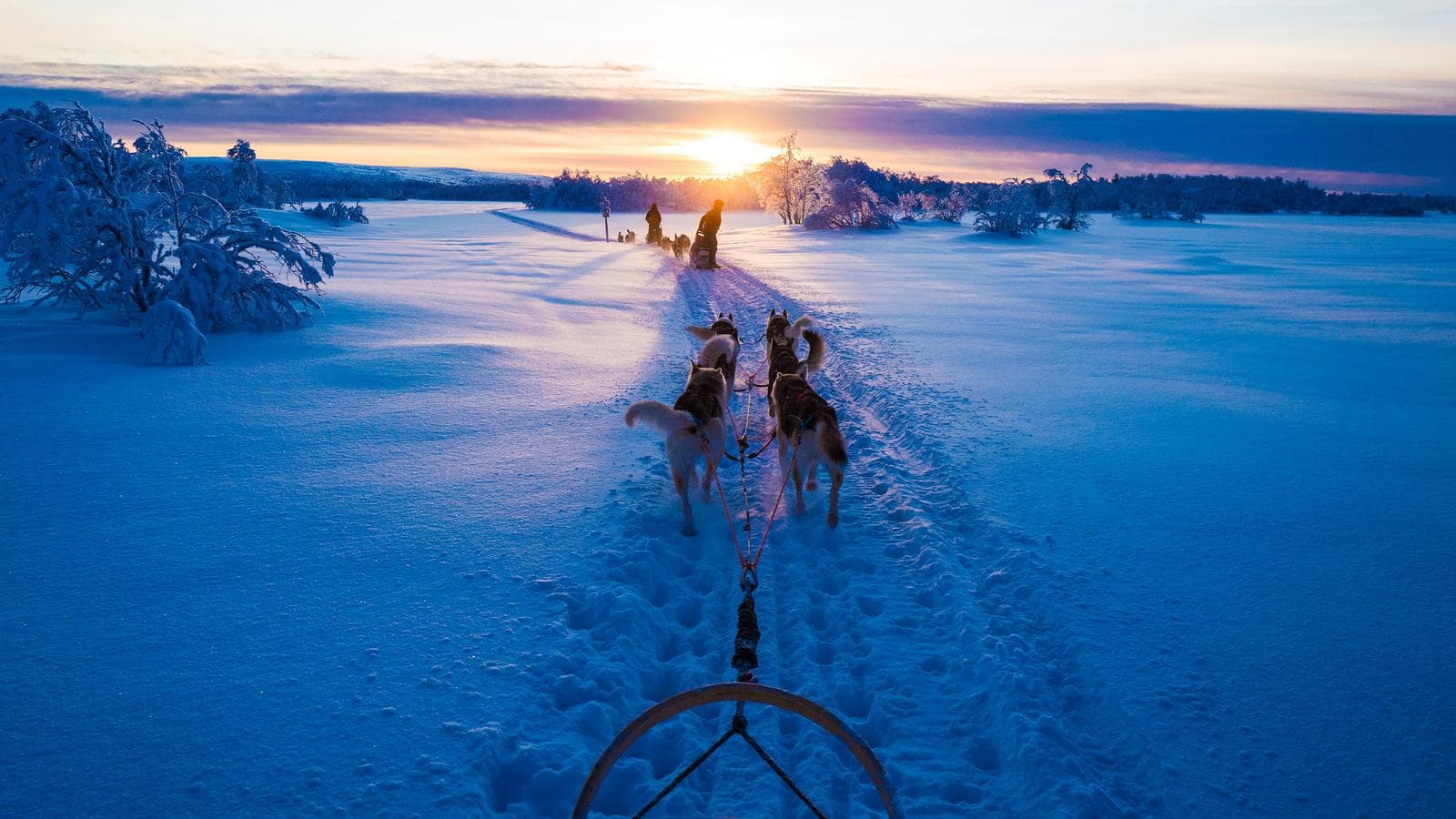 Winter in Finland: Lapland & Northern Lights, a tour by G Adventures