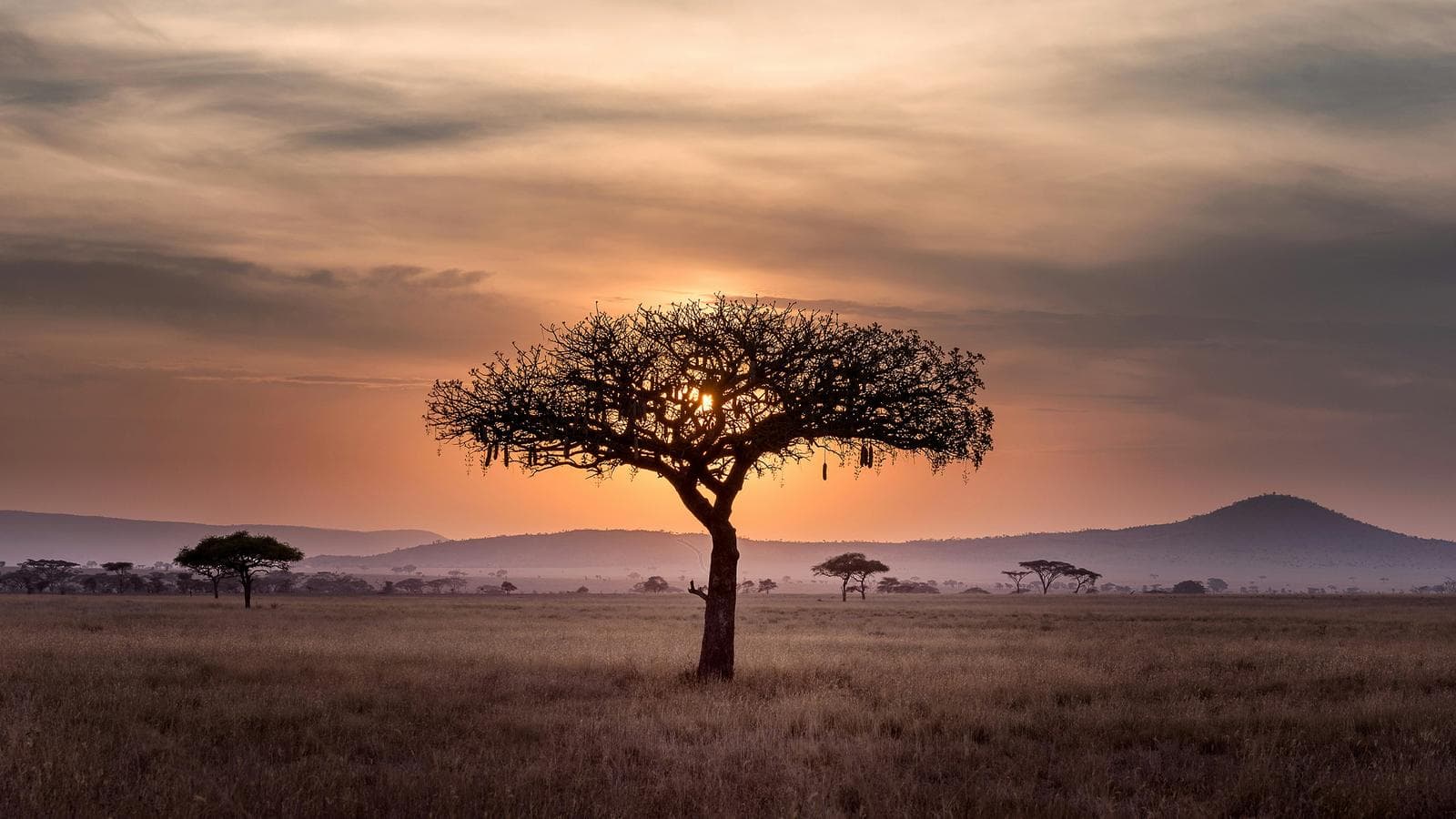 Signature: Tanzania’s Serengeti, Tarangire & Ngorongoro Crater, a tour by G Adventures