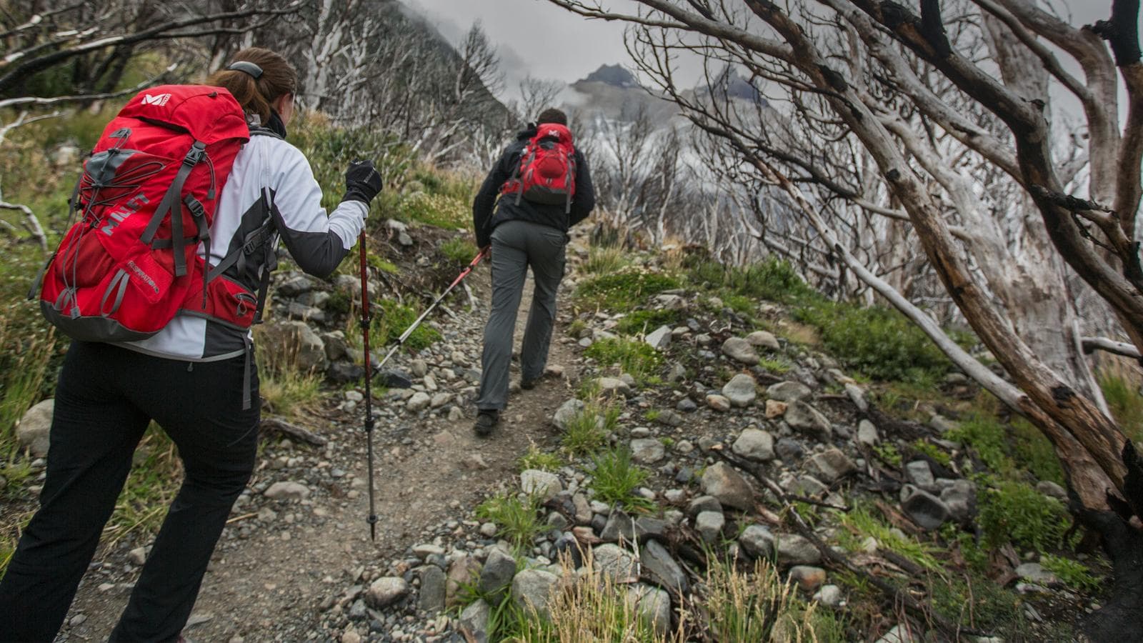 Torres del Paine - Full Circuit Trek (Chile), a tour by G Adventures