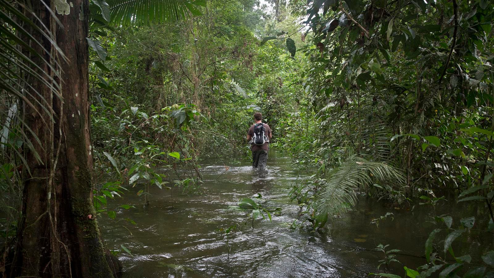Inland & Amazon (Ecuador), a tour by G Adventures