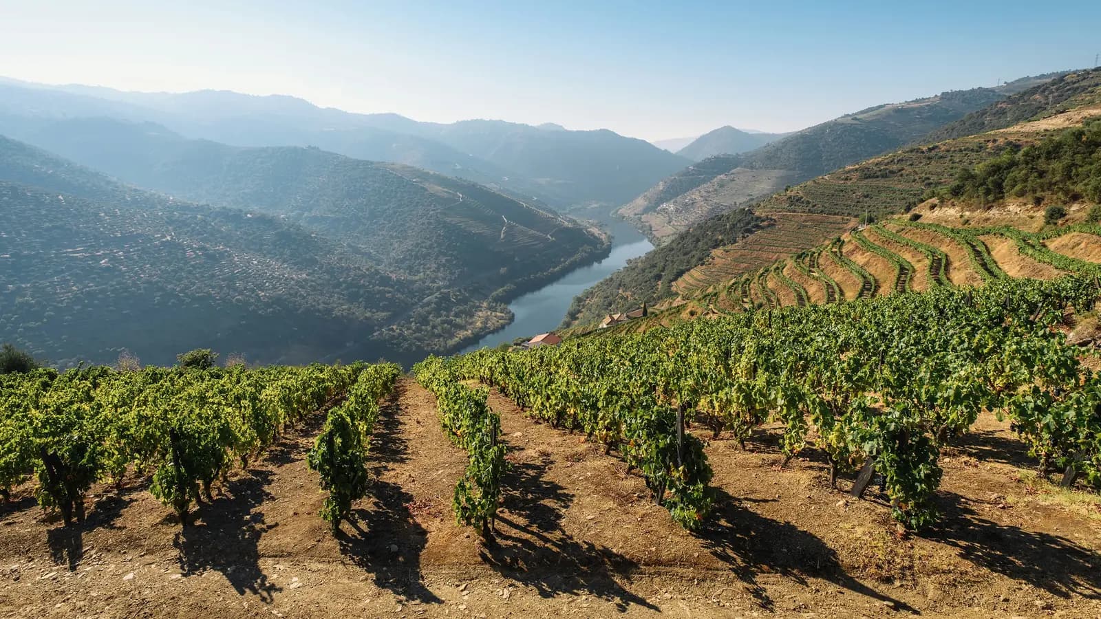 Signature: Portugal's Porto, Douro Valley, & Lisbon, a tour by G Adventures