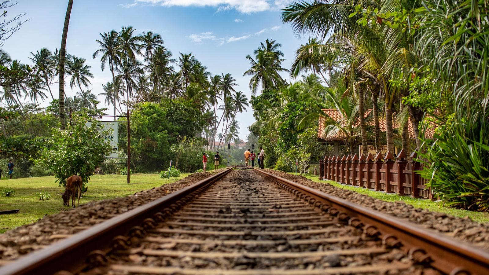 Sri Lanka Land & Sea, a tour by G Adventures